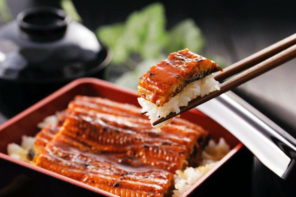 Węgorz unagi - jak wykorzystać go w restauracji sushi? Sprawdź - blog gastronomiczny Bidfood Farutex